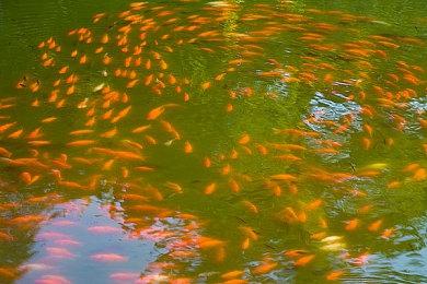 《异度神剑3》下载容量大小公布 为系列三部作品最大