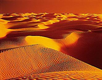 《最后纪元》第二赛季4月上线 游戏将会有全面革新