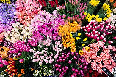 传闻：《塞尔达传说：王国之泪》将是任天堂Switch最后一款大型第一方游戏